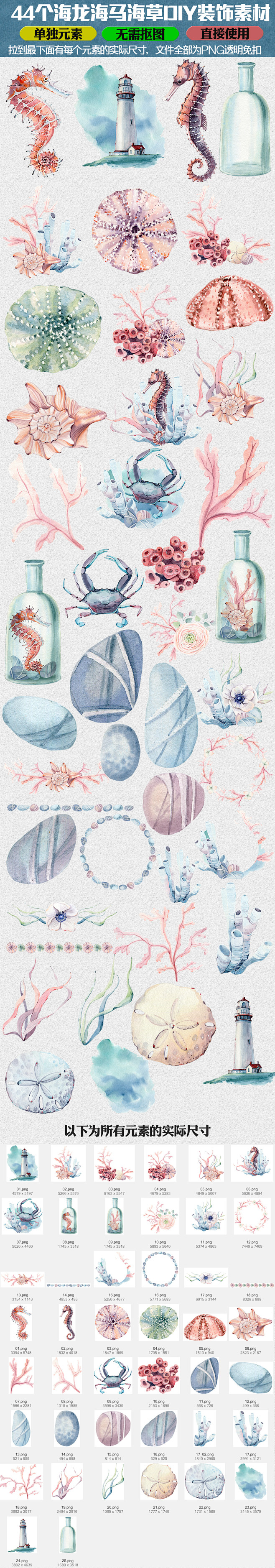 唯美手绘水彩海星海螺PNG免抠设计素材