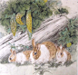 李喆工笔画作品欣赏（16P） | 美图欣赏 - 九六城堡