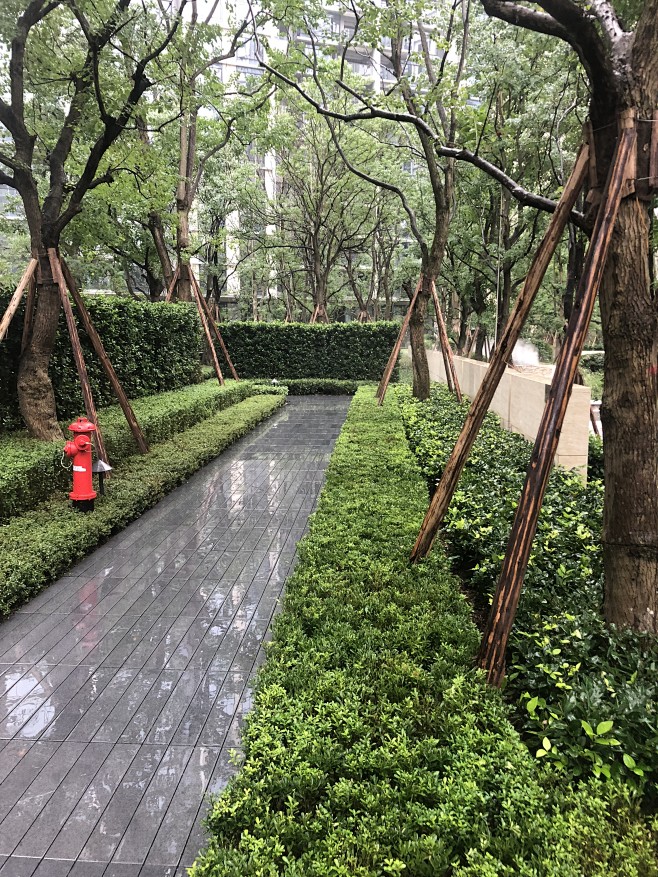 重庆龙湖尘林间