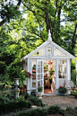 little white greenhouse: 