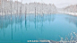 位于日本北海道的美瑛青池Blue Pond，一年四季都如油画一般的明艳动人。那一抹蓝更是让人心醉！