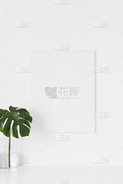 白色的帆布模型在墙上与一个巨大的叶子在一个玻璃花瓶。