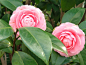 IMG_20190307_104602