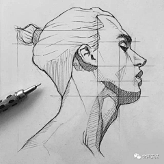 红冬枣采集到针管笔