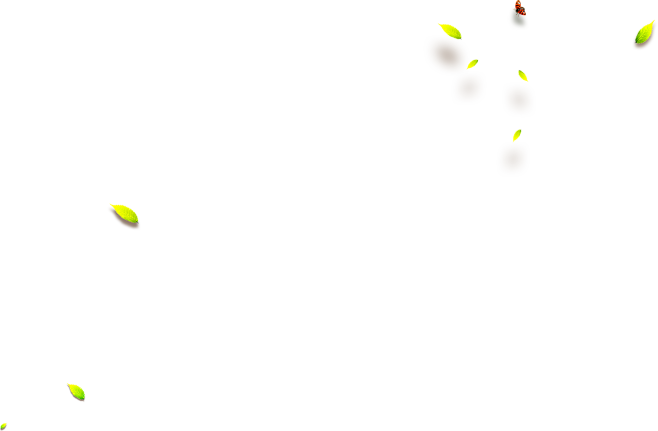 绿叶 PNG