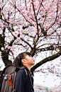 japanese student under #sakura #tree | ::: Awesome JAPAN｜Selection:::