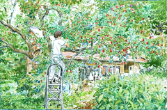 雨木岛采集到插画