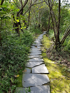 青山有院采集到L-园路