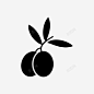 橄榄和平橄榄油图标 icon 标识 标志 UI图标 设计图片 免费下载 页面网页 平面电商 创意素材