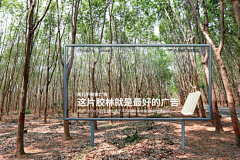 是俊SHIJUN采集到传播