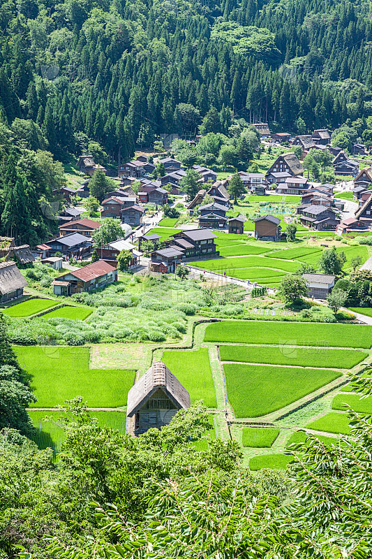 日本传统美丽的村庄