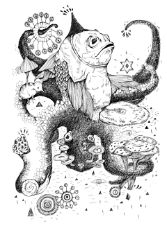 fishingcatt采集到构成