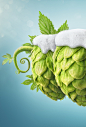 3 Hops :  «Сибирская корона. 3 хмеля»