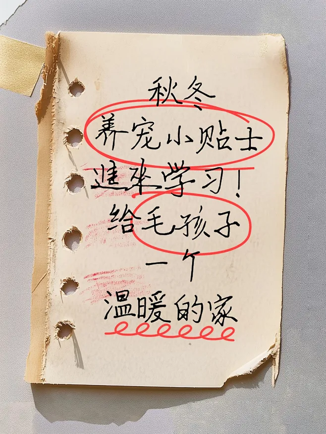 爆款吸睛大字复古背景小红书封面aigc素材-花瓣网