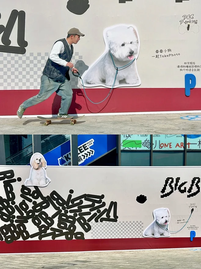 全西安！摇狗！摇猫！摇人！ - 小红书-花瓣网