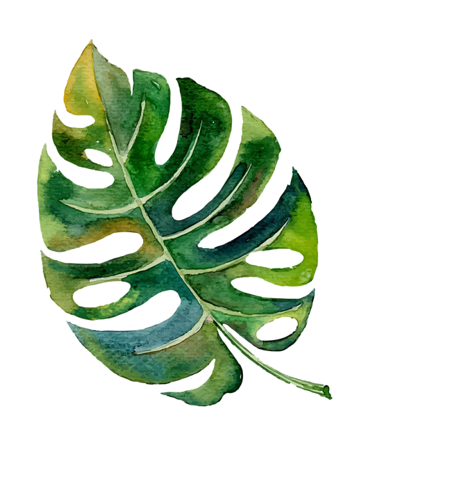 16:17:50芭蕉叶22 (7)设计素材-手绘/卡通夏日青如风该采集也在以下