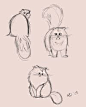 Resultado de imagen para drawings of persian cats #persiancatdrawing