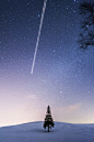 tamotsu matsui在 500px 上的照片Starry sky & airplane & One Tree
