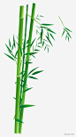 竹竹|竹子|绿竹|端午|熊猫|竹叶|端午节装饰|端午节|竹|竹子