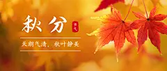 通用秋分节气祝福实景公众号首图