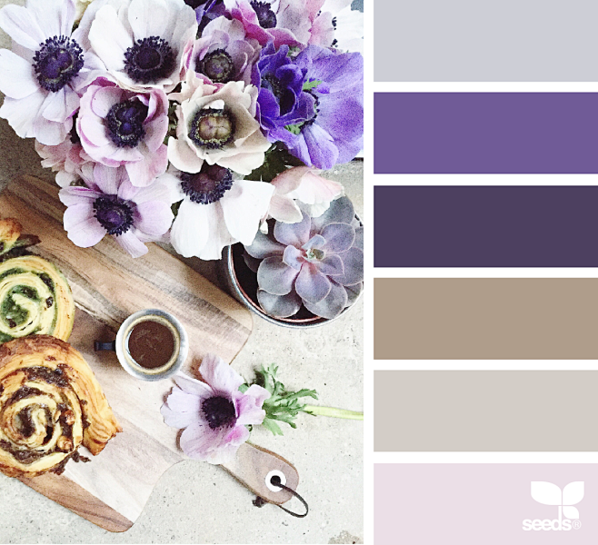 { color serve } imag...