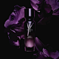 YSL Beauty Official (@yslbeauty)'s Instagram Profile | Tofo.me · Instagram网页版