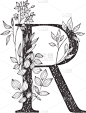 字母,植物群,植物学,华丽的,字母表次序,信函,婚礼,草,花,复古