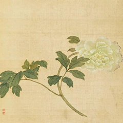 橘叁采集到白描
