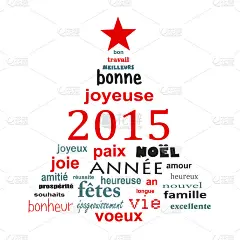 新年法文文字云贺卡