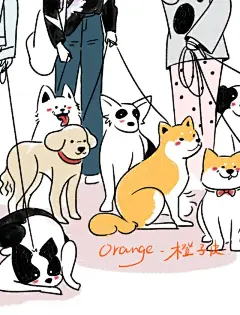 orange橙子皮 • 小红书 / RED