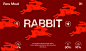 animals branding  ILLUSTRATION  logo Packaging rabbit red type typesetting typography  