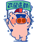 狂飙的五花1  暖雀网-吉祥物设计ip设计卡通人物卡通形象设计卡通品牌设计平台 (10)
