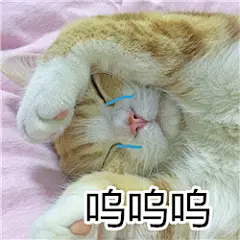 【资源】少女心qwq【表情包吧】_百度贴吧