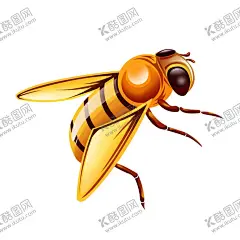 蜜蜂昆虫插画图片 【酷图网】手绘蜜蜂,手绘卡通蜜蜂,卡通蜜蜂,可爱蜜蜂,手绘可爱蜜蜂,蜜蜂插画,蜂蜜插画,卡爱,插画,卡通插画,蜂蜜包装,包装,设计