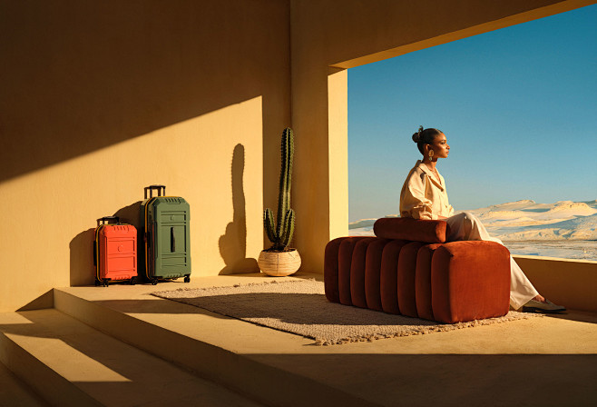 egypt luggage desert...