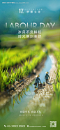 51劳动节微焦ai海报-源文件【享设计】