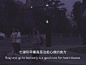 壁纸