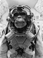 “Space ape” by Maarten Verhoeven: 