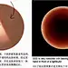 皮肤画法 (3)