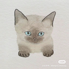 好的南瓜采集到life---插画。