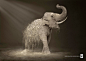 WWF世界自然基金会荒漠化平面广告封面大图