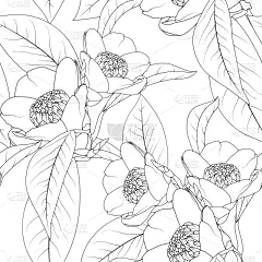 茶花,叶子,花束,式样,线条,华丽的,纺织品,壁纸,花