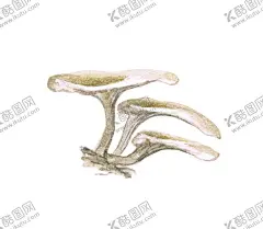 手绘彩色蔬菜免扣素材图片 【酷图网】青菜插画,蔬菜插画,手绘蔬菜,手绘青菜,健康饮食,果蔬,蔬菜,水果,饭菜,绿色蔬菜,食物手绘,小清新,素材,美食,餐饮,手绘,食材,插画,火锅食材,食物,光盘行动,拒绝浪费,光盘,公益,宣传,卡通,PNG,免抠,免抠图,抠图,元素,透明,蔬菜素材,蔬菜沙拉,沙拉,有机蔬菜,天然,健康,蘑菇