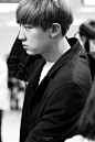  CR:Beagles