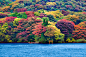 Hakone, Ashi Lake (by Ricardo Bevilaqua)