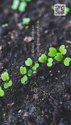 追逐繁星孩子采集到谷雨