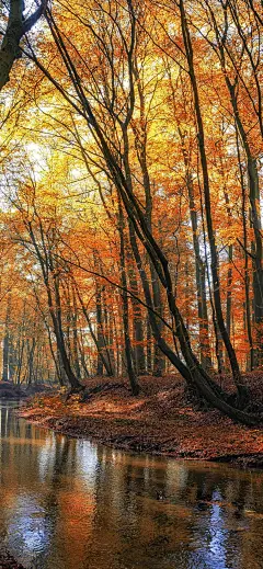 原图风景壁纸：深秋的美景-今日头条