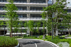 YR-ZM采集到X- 学校景观