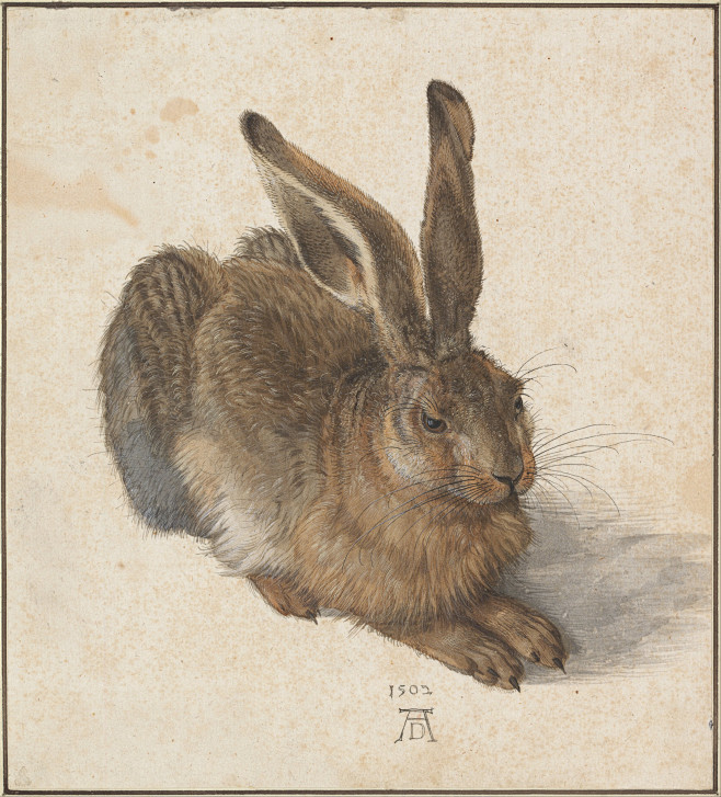 Albrecht_Dürer_-_Har...