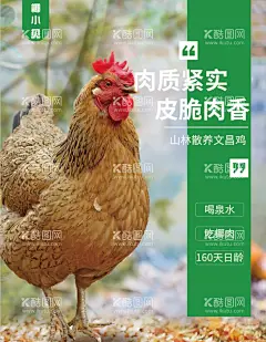 椰子鸡海报  - 源文件下载【酷图网】椰子鸡海报,海南椰子鸡,椰子鸡,海南菜,海南特色菜,椰子鸡宣传,椰子鸡推广